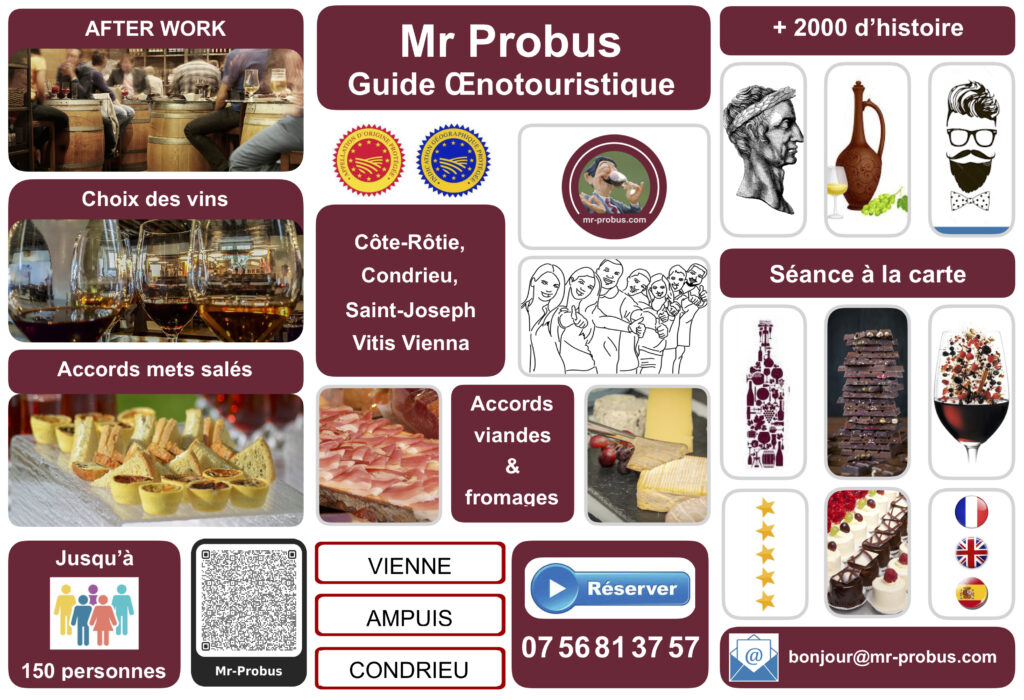 Mr-Probus After Work à Vienne