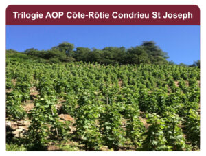 Trilogie AOP Côte-Rôtie Condrieu St Joseph