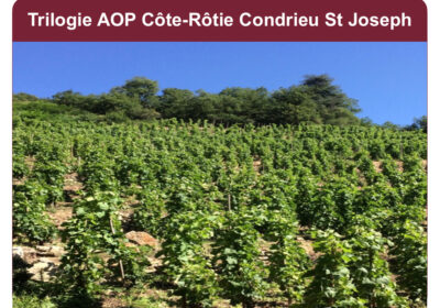 TRILOGIE AOP Côte-Rôtie Condrieu St Joseph