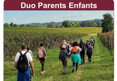 Visite des Vignes en Duo Parents-Enfants