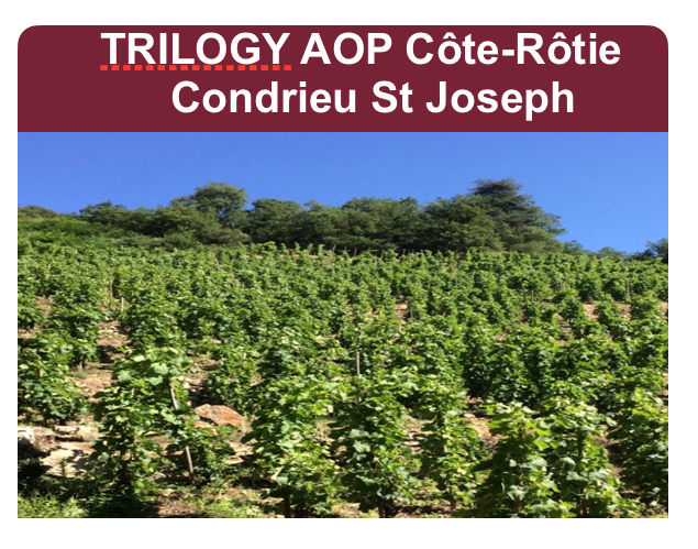 TRILOGY AOP Côte-Rôtie Condrieu St Joseph