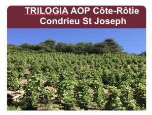 Trilogia AOP Côte-Rôtie Condrieu St Joseph