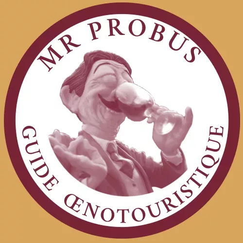 MR Probus Logo Bor Or