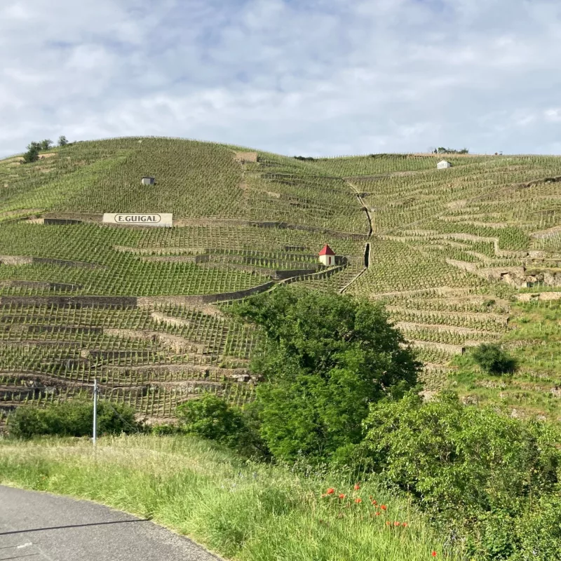 Privatisez la Vallée du Rhône Nord